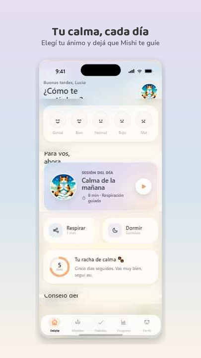 MishiZen — captura de pantalla